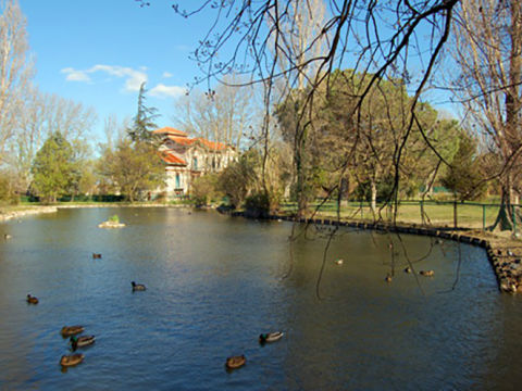 Toulouges - Village de la Plaine du Roussillon - Pyrénées Orientales