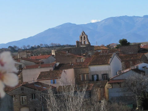 Trouillas - Village des Aspres - Pyrénées Orientales