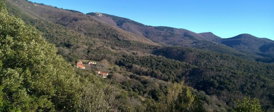 L'Albère L'Albère - Village du Vallespir - Pyrénées Orientales