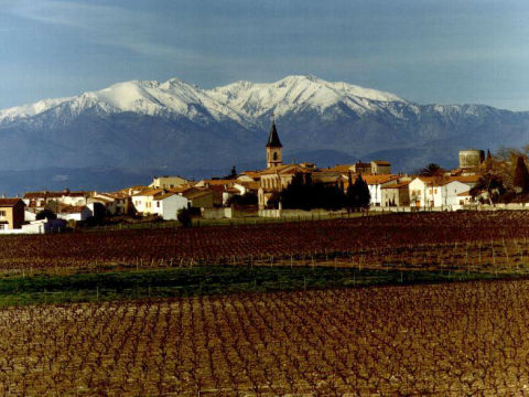 Corneilla-del-Vercol - Village de la Plaine du Roussillon - Pyrénées Orientales